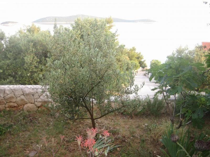 Apartments Mil - 80M From The Sea Sevid Εξωτερικό φωτογραφία